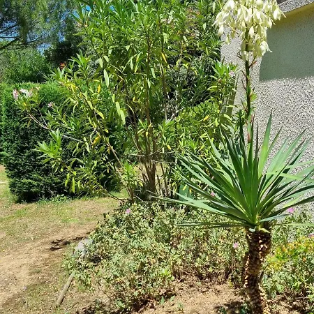 Eden Villa